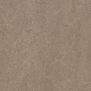 Натуральный линолеум Forbo Marmoleum Fresco-3246 коричневый — купить в Москве в интернет-магазине Snabimport