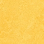 Натуральный линолеум Forbo Marmoleum Fresco-3251 желтый — купить в Москве в интернет-магазине Snabimport