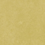 Натуральный линолеум Forbo Marmoleum Fresco-3259 желтый — купить в Москве в интернет-магазине Snabimport