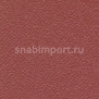 Спортивные покрытия Gerflor Taraflex™ Tennis 6118 — купить в Москве в интернет-магазине Snabimport