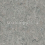 Коммерческий линолеум Grabo Diamond Standart Forte 4213-456-4 — купить в Москве в интернет-магазине Snabimport
