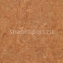 Коммерческий линолеум Grabo Diamond Standart Forte 4213-453-4 — купить в Москве в интернет-магазине Snabimport