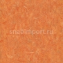 Коммерческий линолеум Grabo Diamond Standart Forte 4213-465-4 — купить в Москве в интернет-магазине Snabimport