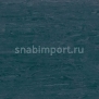Транспортный линолеум для речного транспорта Tarkett Horizon Marine 003 зеленый — купить в Москве в интернет-магазине Snabimport