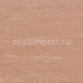 Транспортный линолеум для речного транспорта Tarkett Horizon Marine 005 коричневый — купить в Москве в интернет-магазине Snabimport