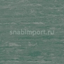 Транспортный линолеум для морского транспорта Tarkett Horizon M 006 зеленый — купить в Москве в интернет-магазине Snabimport
