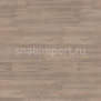 Ламинат Wineo 300 Nordic Pine Modern LA020 коричневый — купить в Москве в интернет-магазине Snabimport