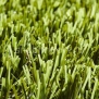 Искусственная трава Lano Sage — купить в Москве в интернет-магазине Snabimport
