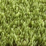 Искусственная трава Lano Easy Lawn-Tangerine зеленый