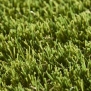 Искусственная трава Lano Easy Lawn-Valeria зеленый