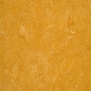 Натуральный линолеум Gerflor DLW Marmorette LPX-121-073 желтый — купить в Москве в интернет-магазине Snabimport