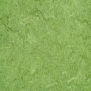 Натуральный линолеум Gerflor DLW Marmorette LPX-121-100 зеленый — купить в Москве в интернет-магазине Snabimport