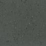 Натуральный линолеум Gerflor DLW Lino Art Star LPX-144-083 Серый — купить в Москве в интернет-магазине Snabimport