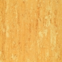 Натуральный линолеум Gerflor DLW Linodur LPX-151-072 оранжевый — купить в Москве в интернет-магазине Snabimport