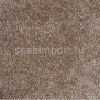 Ковровое покрытие ITC Lucido 44 коричневый — купить в Москве в интернет-магазине Snabimport