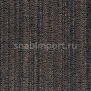 Ковровая плитка Tecsom 3550 Linear Vision 00036 коричневый — купить в Москве в интернет-магазине Snabimport