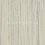 Натуральный линолеум Forbo Marmoleum Striato 3576 — купить в Москве в интернет-магазине Snabimport
