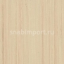 Натуральный линолеум Forbo Marmoleum Striato 5230 — купить в Москве в интернет-магазине Snabimport