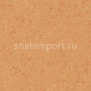 Коммерческий линолеум Gerflor Mipolam Symbioz 6035 — купить в Москве в интернет-магазине Snabimport