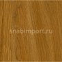 Виниловый ламинат Moduleo Flexo Premium Click Casablanka Oak 24840 — купить в Москве в интернет-магазине Snabimport