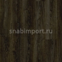 Виниловый ламинат Moduleo Flexo Premium Click Summer Oak 24989