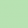 Акриловая краска Oikos Multifund-IN 223 зеленый — купить в Москве в интернет-магазине Snabimport