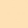 Акриловая краска Oikos Multifund-IN 574 Бежевый — купить в Москве в интернет-магазине Snabimport