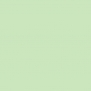 Акриловая краска Oikos Multifund-N748 зеленый — купить в Москве в интернет-магазине Snabimport