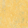 Краска Oikos Декоративная линия NEVADA NE1504 желтый — купить в Москве в интернет-магазине Snabimport
