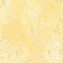 Краска Oikos Декоративная линия NEVADA NE2834 желтый — купить в Москве в интернет-магазине Snabimport