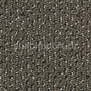 Ковровое покрытие Condor Carpets Pacific 92 коричневый — купить в Москве в интернет-магазине Snabimport