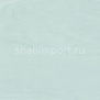 Специальное покрытие для стен Polyflor Polyclad Plus PU 2830 Summer Sky — купить в Москве в интернет-магазине Snabimport