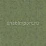 Иглопробивной ковролин Dura Contract Robusta atelier N2 (плитка 500*500*7,5 мм) зеленый — купить в Москве в интернет-магазине Snabimport