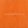 Каучуковые спортивные покрытия Remp Sportway Remplex M blue Оранжевый — купить в Москве в интернет-магазине Snabimport