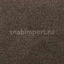 Ковровое покрытие ITC Rocket 48 коричневый — купить в Москве в интернет-магазине Snabimport