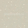Каучуковое покрытие Nora noraplan signa 2780 Серый — купить в Москве в интернет-магазине Snabimport