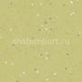 Каучуковое покрытие Nora noraplan signa 2950 зеленый — купить в Москве в интернет-магазине Snabimport