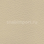 Спортивные покрытия Gerflor Taraflex™ Sport M Comfort 6347 — купить в Москве в интернет-магазине Snabimport