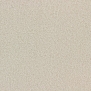 Ковровое покрытие Edel Serene-102 белый — купить в Москве в интернет-магазине Snabimport