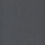 Спортивный линолеум Gerflor DLW Colorette Sport 6131-080 чёрный — купить в Москве в интернет-магазине Snabimport