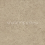 Дизайн плитка Amtico Spacia Stone SS5S4408 Бежевый — купить в Москве в интернет-магазине Snabimport