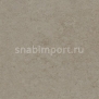 Дизайн плитка Amtico Spacia Stone SS5S4434 Бежевый — купить в Москве в интернет-магазине Snabimport