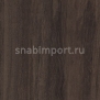 Дизайн плитка Amtico Spacia Stone SS5S4605 коричневый — купить в Москве в интернет-магазине Snabimport