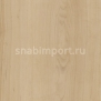 Дизайн плитка Amtico Spacia Wood SS5W2502 Бежевый — купить в Москве в интернет-магазине Snabimport