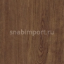 Дизайн плитка Amtico Spacia Wood SS5W2510 коричневый — купить в Москве в интернет-магазине Snabimport