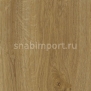 Дизайн плитка Amtico Spacia Wood SS5W2514