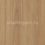 Дизайн плитка Amtico Spacia Wood SS5W2525 Бежевый — купить в Москве в интернет-магазине Snabimport