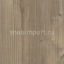 Дизайн плитка Amtico Spacia Wood SS5W2535 Бежевый — купить в Москве в интернет-магазине Snabimport