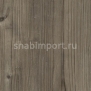 Дизайн плитка Amtico Spacia Wood SS5W2536 Серый — купить в Москве в интернет-магазине Snabimport