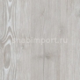 Дизайн плитка Amtico Spacia Wood SS5W2540 Серый — купить в Москве в интернет-магазине Snabimport